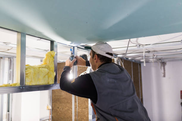Best Cellulose Insulation in Springville, UT