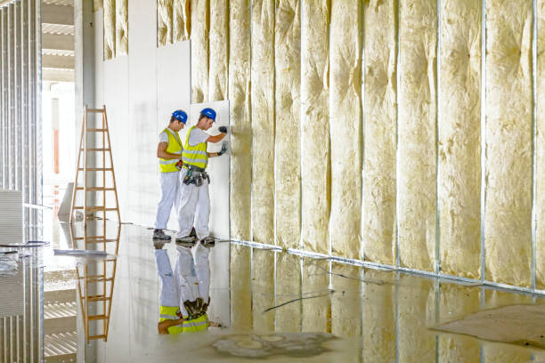 Best Energy Efficiency Insulation in Springville, UT